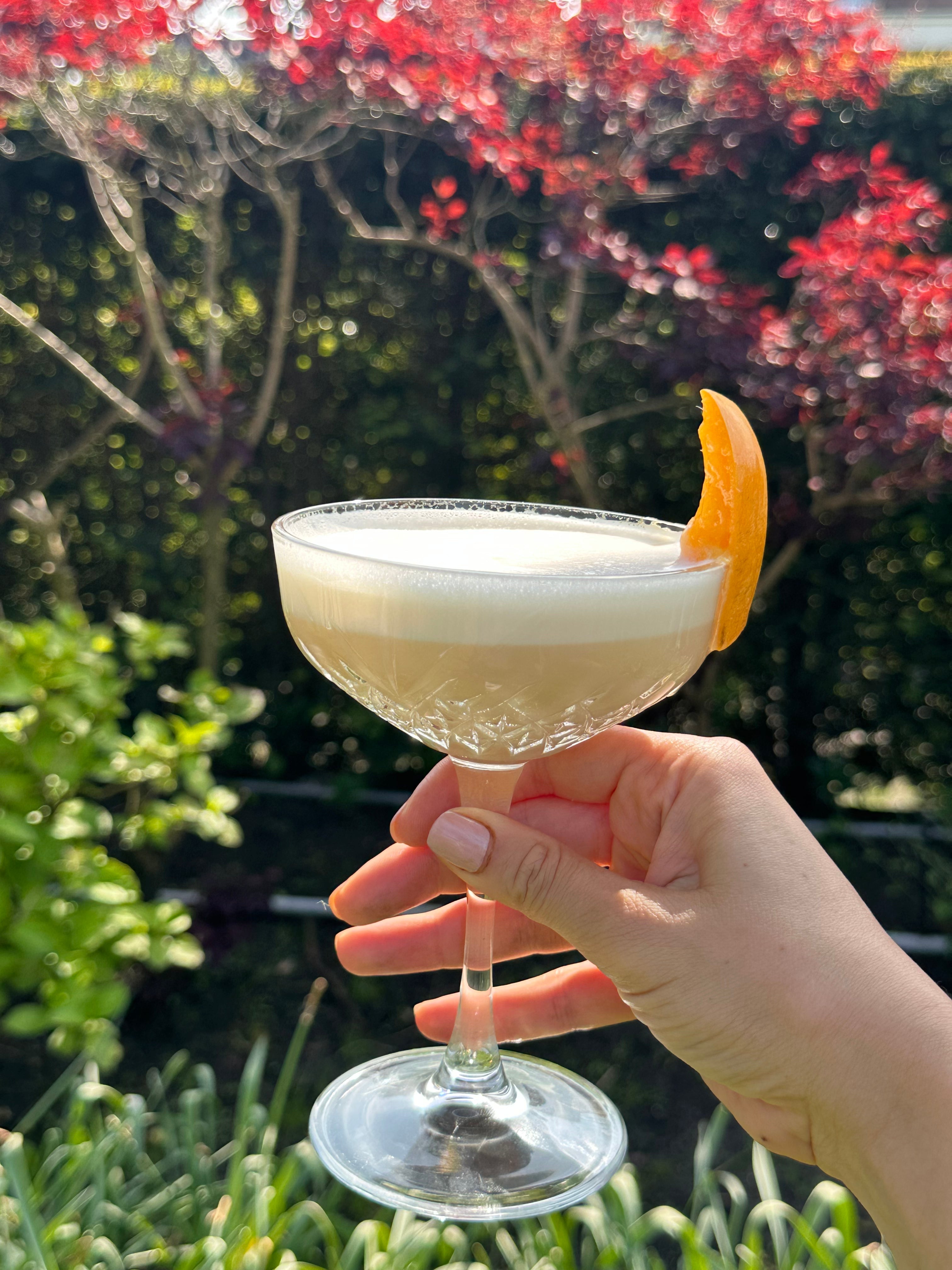 Whey Concentrate: Fast