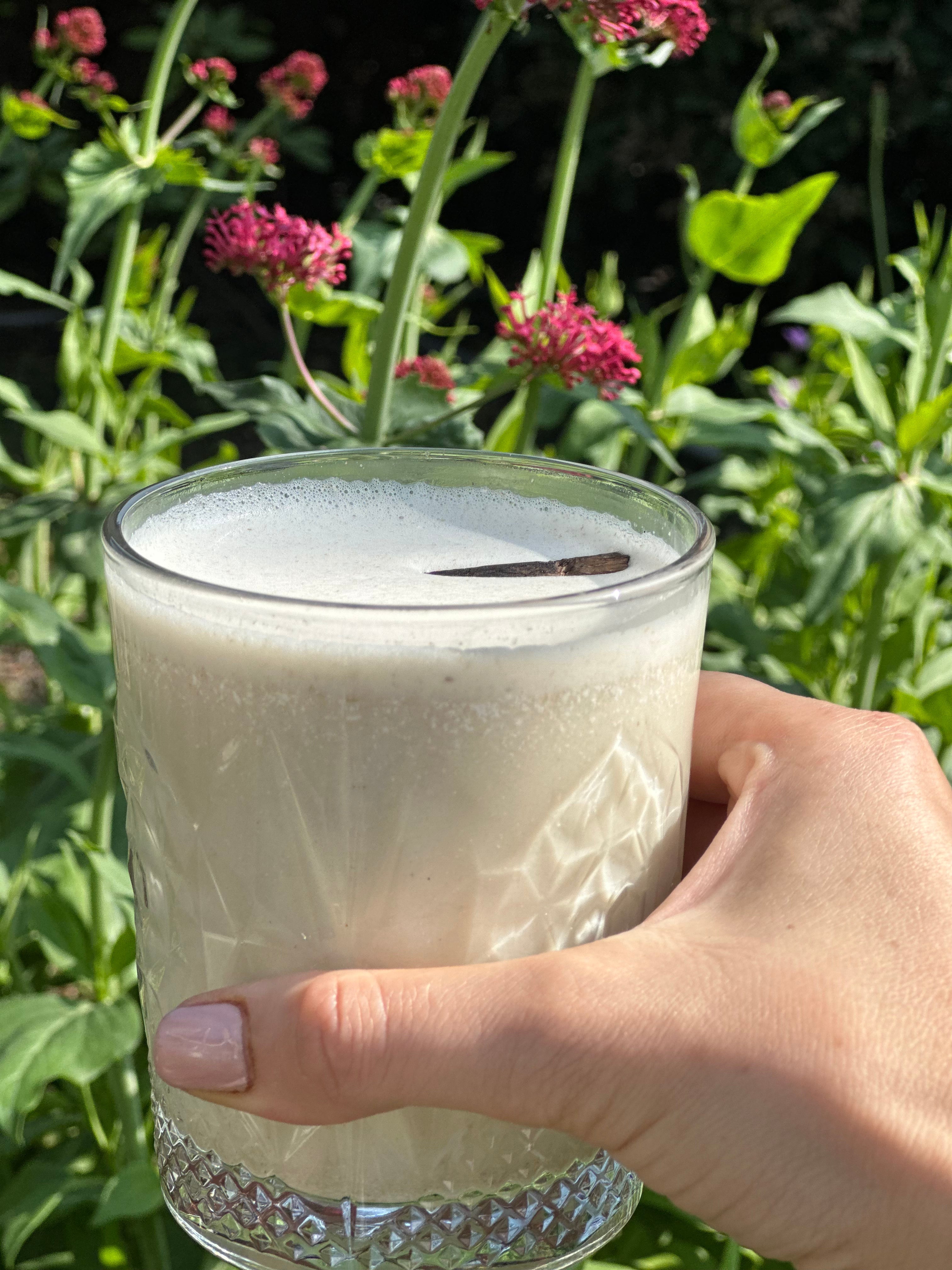 <tc>Diet</tc> Shake: High Performance